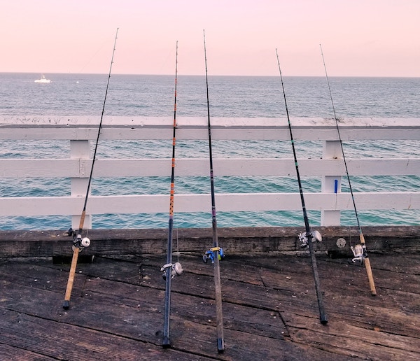 Several fishing rods next to waterfront