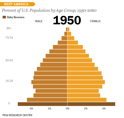 Population pyramid in the U.S.